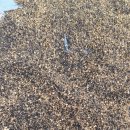 꿈의농장 이미지