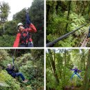 [Rotorua] Canopy Tours 이미지