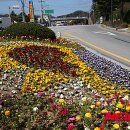 동해시-36 이미지