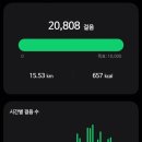 서초중앙로20길 33-12 | [서울/종로3가]종로3가 굴보쌈/명동데이트/서울 뚜벅이 데이트/ 서울 굴보쌈 맛집 /명동롯데백화점