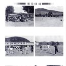 석보중학교 이미지