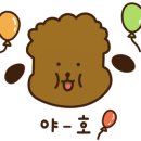 바둑이 애견 이미지