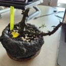 용미농장 이미지