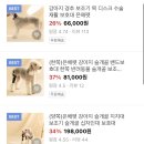 은해보조기 네이버블로그