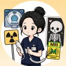 [2025년 상반기]N잡러가 되기 위한 블로그 운영기술 | 3탄끝 /영양사,출판사마케터에서 [방사선사] 바꾼 썰