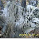 황정주유소 이미지