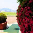 오동도로 이미지