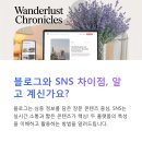 블로그와 SNS 병행 운영 전략 가이드