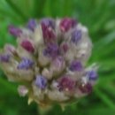 하노이의아침 이미지