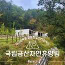 숲속의 정든집 야영장 | 대전근교 가을 힐링여행 신축 국립금산자연휴양림 숲속의집 예약 후기