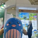 코엑스 가볼만한곳 추천 SITF2026 서울국제관광전 후기