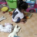 다인동물병원 이미지