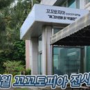 꼬꼬와아이들 이미지