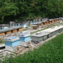 호운농장 이미지