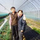 영농조합법인 참농 이미지