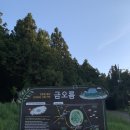 제주 삼춘네 민박 | 제주, 둘째날