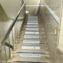 티플러스테니스 | 분당테니스 티플러스테니스 실내스크린 테니스 테린이 첫 도전기