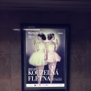 가나호스텔 이미지