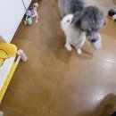 슈에뜨시앙 이미지