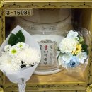 스마일 탕후루 | 25.11 이모저모 (먹방과 스마일라식 그 사이 어딘가)