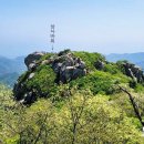 남해-275 이미지