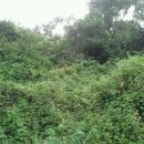 봉우리농장 이미지