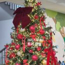 동탄초등학교 | 경기도 동탄 초등학교 곰인형 장식 크리스마스트리 임대 렌탈