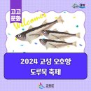 오호항 이미지