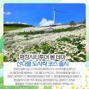 산나물 도시락 코스 이미지