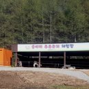 송아목장 이미지