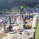 방죽포해수욕장(송림) 이미지