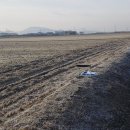 백산제1농장 이미지