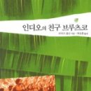 인디오가 이미지