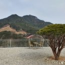 농업회사법인 농원바이오 이미지