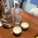 존중 | 제주 서귀포 애견동반 술집 취함존중 내돈내산 후기