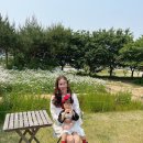 초록마을 남창점 | 🌼 [천안 데이지 카페] 아기랑 숲속 힐링 타임, 이숲 카페 후기