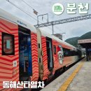 동해시-49 | 동해산타열차 탑승 후기 및 꿀정보 여름에 즐긴 산타열차 여행