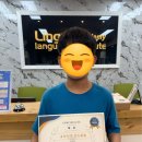 링구아어학원 이미지