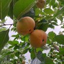 지희농장 이미지