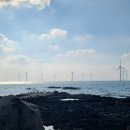 협재바다보라 이미지