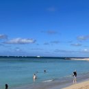 와이키키 이미지