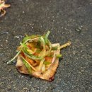 광주 냉삼 맛집 ‘ 냉삼코리아 광주용봉점’