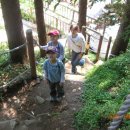 동막골목장 이미지