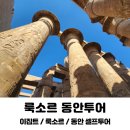 신전 | 룩소르 동안 셀프 투어 카르나크 룩소르 신전 후기