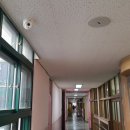 내성초등학교 티스토리