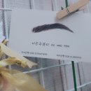이은주뷰티샵 이미지