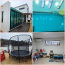 보불로(동) 이미지