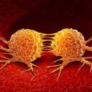 자성대 요양병원 이미지