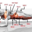 컴포트 짐 이미지