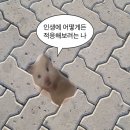 로카PC방 | 여유가 더 좋은 우리들의 서울구경🌆
